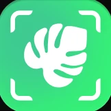 App icon design