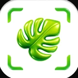 App icon design